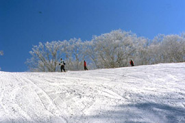 高山コース